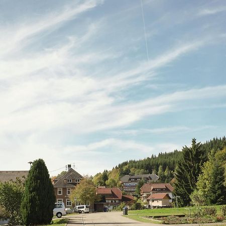 Cozy Holiday Apartment In The Black Forest Dachsberg im Schwarzwald Экстерьер фото