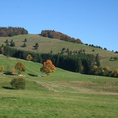 Cozy Holiday Apartment In The Black Forest Dachsberg im Schwarzwald Экстерьер фото