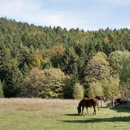 Cozy Holiday Apartment In The Black Forest Dachsberg im Schwarzwald Экстерьер фото