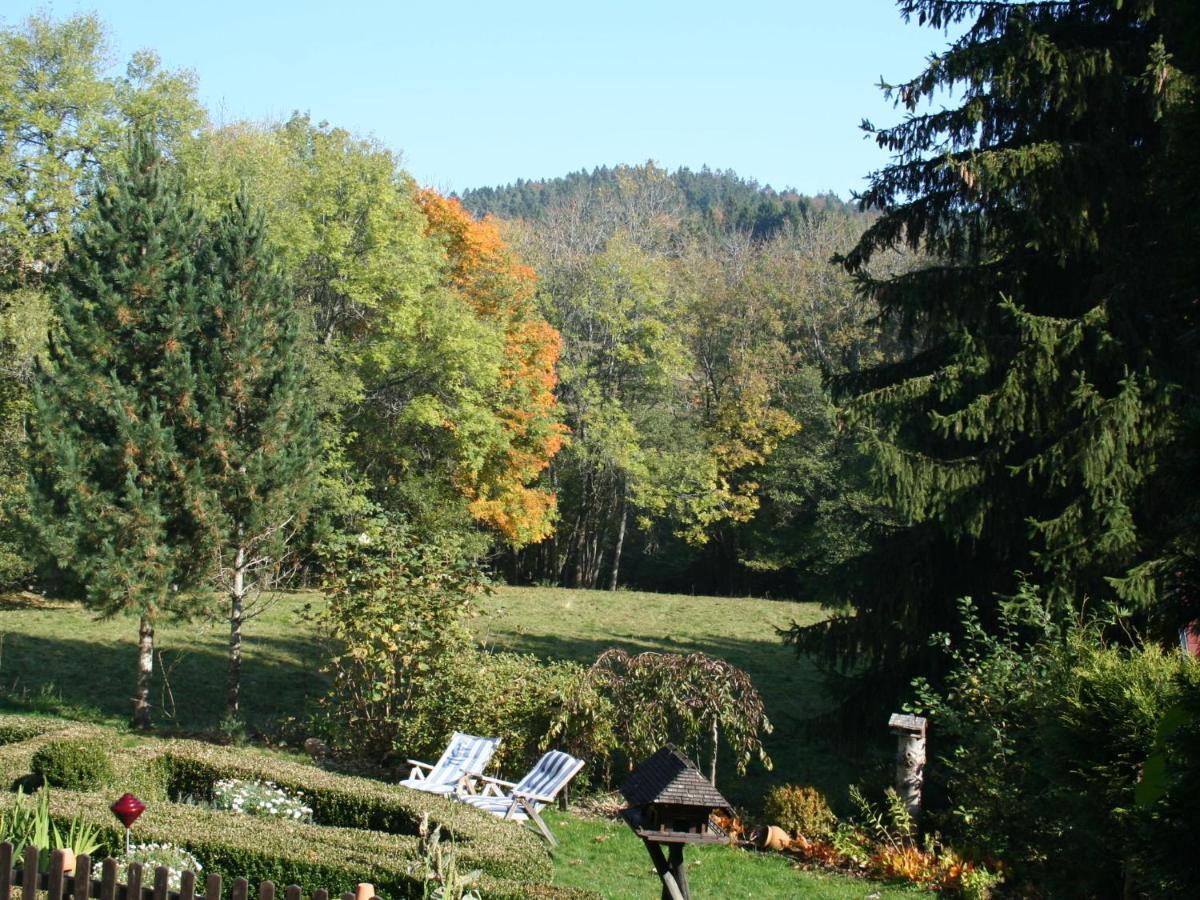 Cozy Holiday Apartment In The Black Forest Dachsberg im Schwarzwald Экстерьер фото