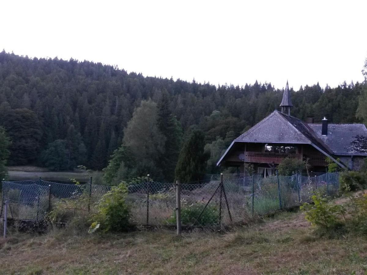 Cozy Holiday Apartment In The Black Forest Dachsberg im Schwarzwald Экстерьер фото