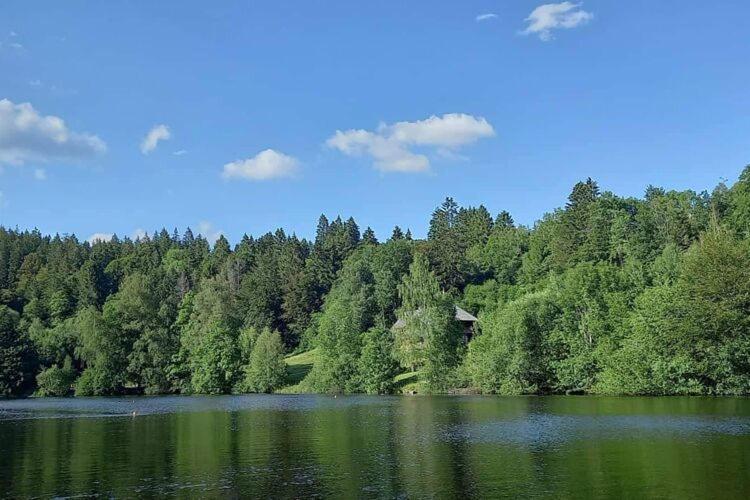 Cozy Holiday Apartment In The Black Forest Dachsberg im Schwarzwald Экстерьер фото