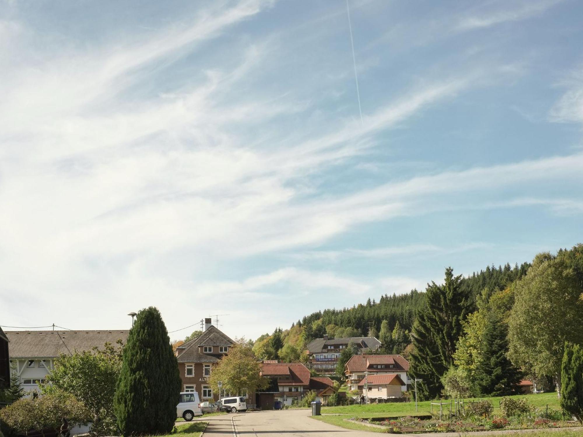 Cozy Holiday Apartment In The Black Forest Dachsberg im Schwarzwald Экстерьер фото