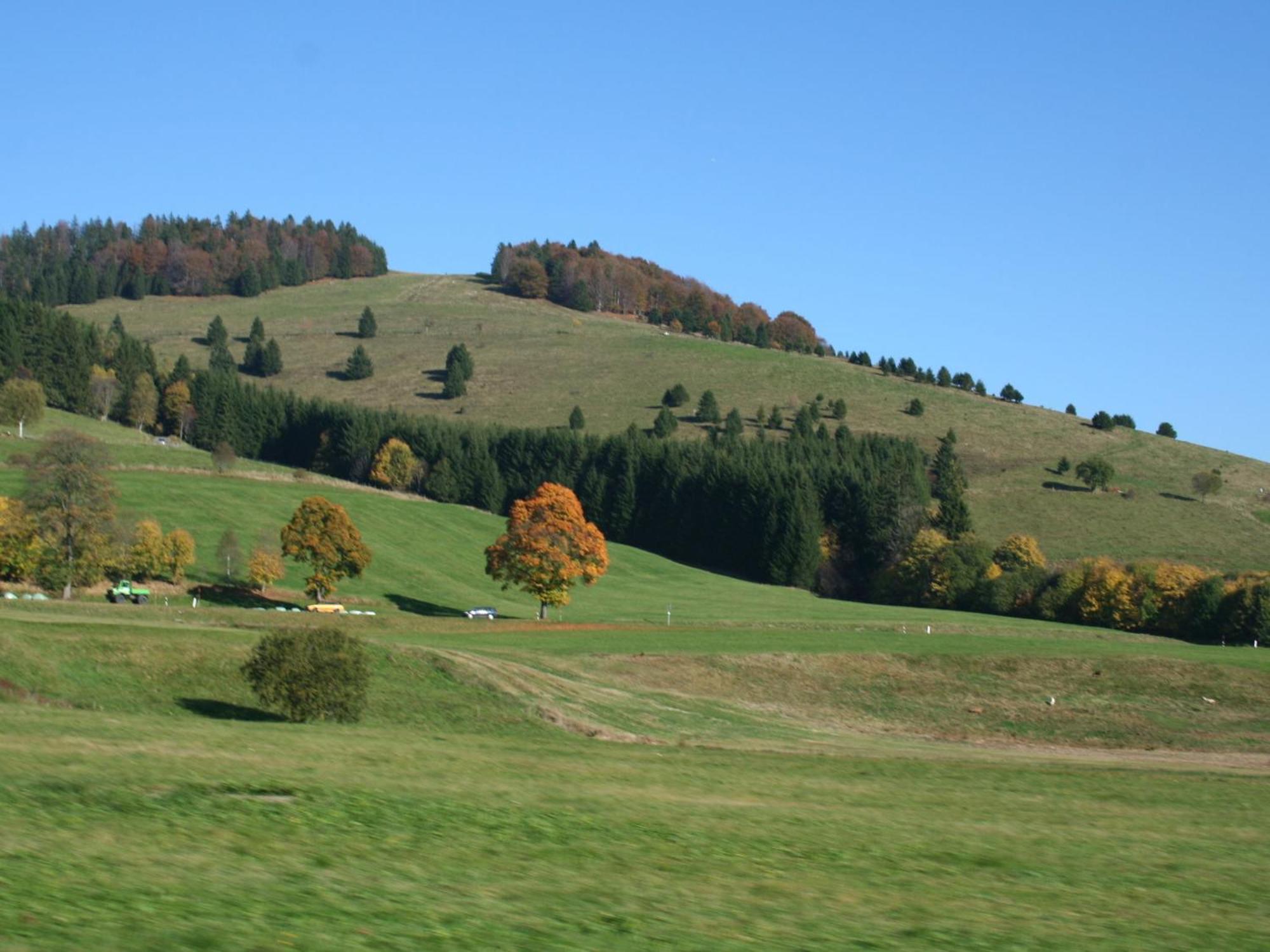 Cozy Holiday Apartment In The Black Forest Dachsberg im Schwarzwald Экстерьер фото