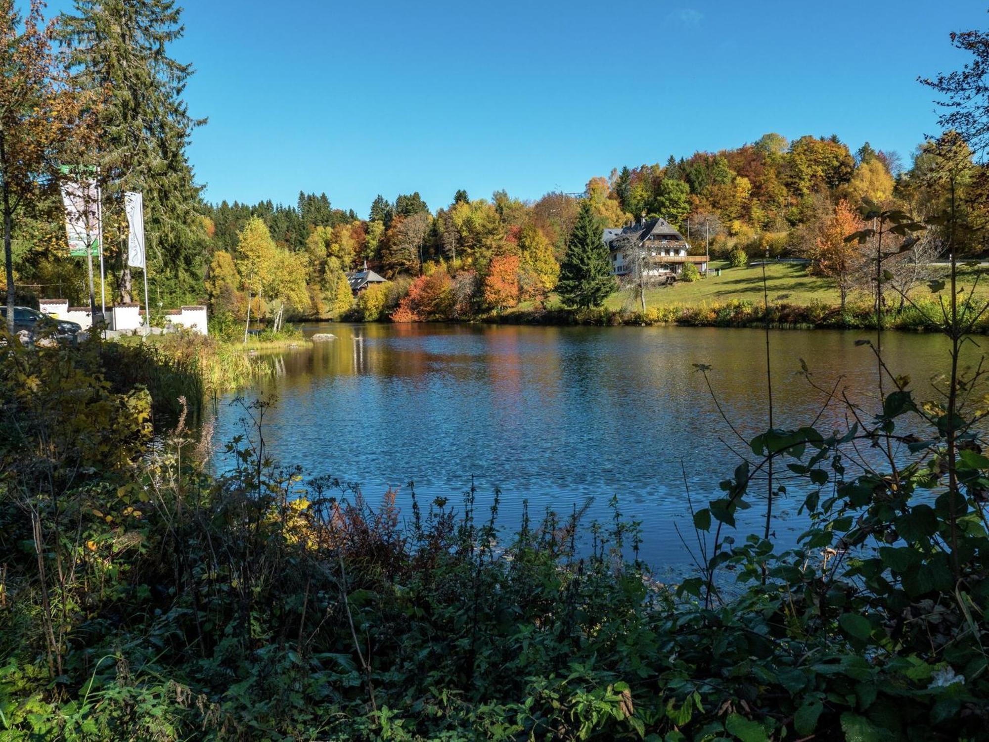 Cozy Holiday Apartment In The Black Forest Dachsberg im Schwarzwald Экстерьер фото